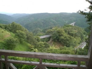 はなしのぶからの眺め